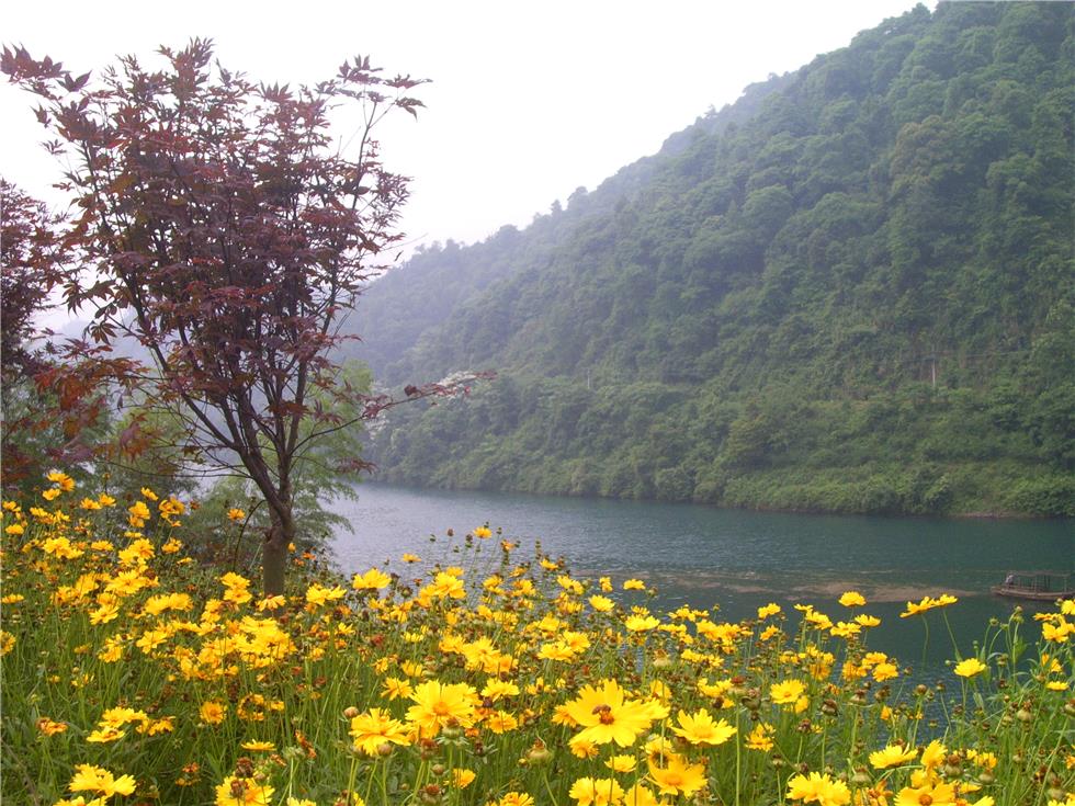 (8)湖南【小東江】【小東江深山原始森林古道】徒步、攝影二天游-戶外活動(dòng)圖-駝鈴網(wǎng)