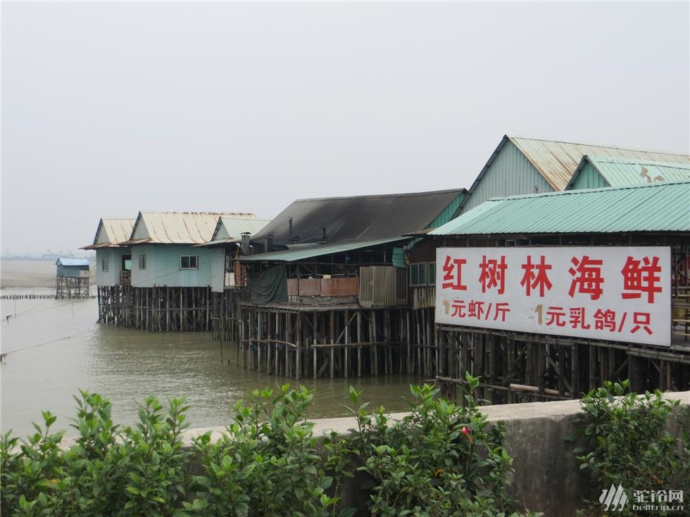 (6)番禺海鷗島農(nóng)莊海鮮騎行一日休閑游AA約伴-戶外活動(dòng)圖-駝鈴網(wǎng)